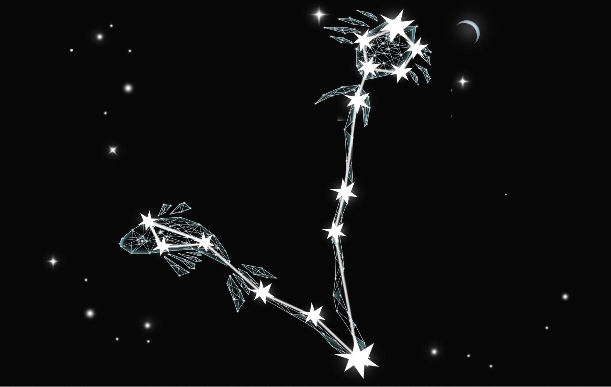 Constellation Custom Name Night Light - Shapelys