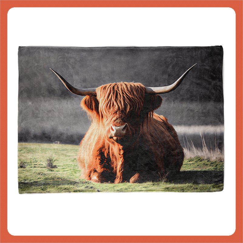 Highland cow blanket - Shapelys