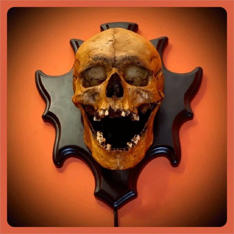 Skull lamp night light - Shapelys